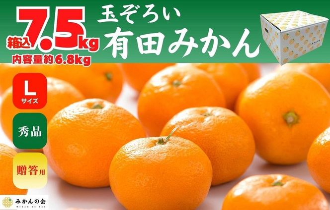 みかん Lサイズ 秀品 箱込 7.5kg (内容量約 6.8kg) 有田みかん 和歌山県産 産地直送 贈答用 【みかんの会】 AX199