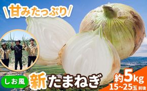 新玉ねぎ【先行予約】 しお風新たまねぎ 約5kg 《5月中旬-6月上旬頃出荷》 玉ねぎ 新たまねぎ 玉葱 たまねぎ 新玉 野菜 青果物 岡山県 笠岡市---kasaoka_zsy_139_5---