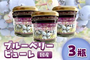 国産ブルーベリーピューレ　農薬不使用（3瓶）　BM00001