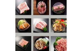 伊賀とよさ豚1/2まるごと食べ尽くし cook0047