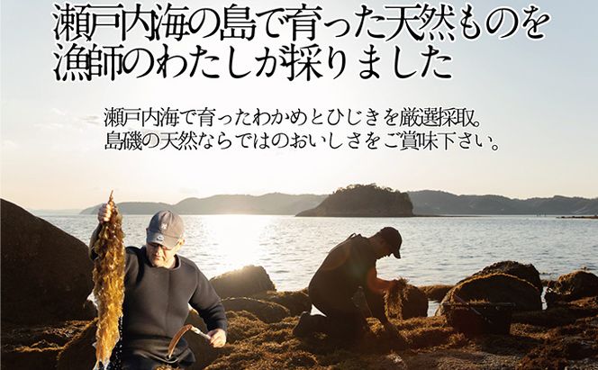 瀬戸内で採れた島磯香る わかめ 22g×1袋と ひじき 28g×2袋 セット【岡山 瀬戸内海 鉄釜炊 天然】 鉄釜製法 鉄分 無添加 無着色 添加物不使用 
