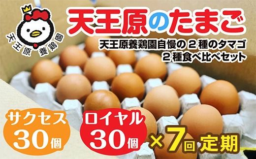 【定期便】7回定期【天王原のたまご】 サクセス卵30個/ロイヤル卵30個 【7回定期便 セット たまご 卵 玉子 タマゴ 濃厚 食べ比べ ハリ 弾力 ボリューム 甘味 旨味 卵黄 風味 生 コク 甘味 卵かけご飯 卵焼き 目玉焼き オムレツ 茶碗蒸し お菓子作り パンの材料】
