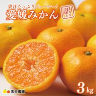 先行予約 訳あり 愛媛みかん 3kg 7000円 愛媛 みかん 温州みかん こたつ みかん mikan 蜜柑 ミカン 家庭用 産地直送 国産 農家直送 糖度 期間限定 数量限定 特産品 ゼリー ジュース アイス 人気 限定 甘い フルーツ 果物 柑橘 先行 事前 予約 受付 ビタミン 美味しい おいしい サイズ ミックス 吉田農園 愛南町 愛媛県