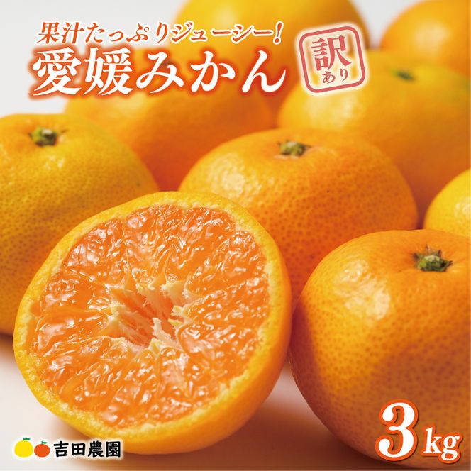 先行予約 訳あり 愛媛みかん 3kg 7000円 愛媛 みかん 温州みかん こたつ みかん mikan 蜜柑 ミカン 家庭用 産地直送 国産 農家直送 糖度 期間限定 数量限定 特産品 ゼリー ジュース アイス 人気 限定 甘い フルーツ 果物 柑橘 先行 事前 予約 受付 ビタミン 美味しい おいしい サイズ ミックス 吉田農園 愛南町 愛媛県