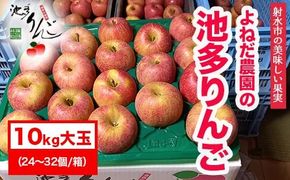 【射水のおいしい果実】【林檎】 よねだ農園の池多りんご サンふじ 10kg大玉（24～32個／箱） ※沖縄・離島への配送不可 ※2025年11月中旬～12月中旬頃に順次発送予定