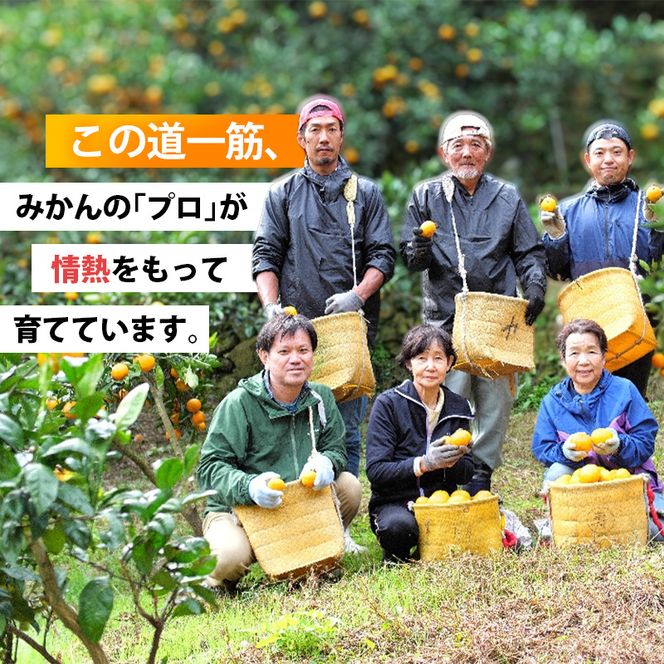 家庭用 有田みかん サイズ混合(2S～2L) 10kg+250g ※11月発送(完熟) / 温州みかん 有田みかん 訳あり 甘い 光センサー選果 果物 柑橘 和歌山 ※北海道・沖縄・離島への配送不可 【ikd004-cm-10-novC】 