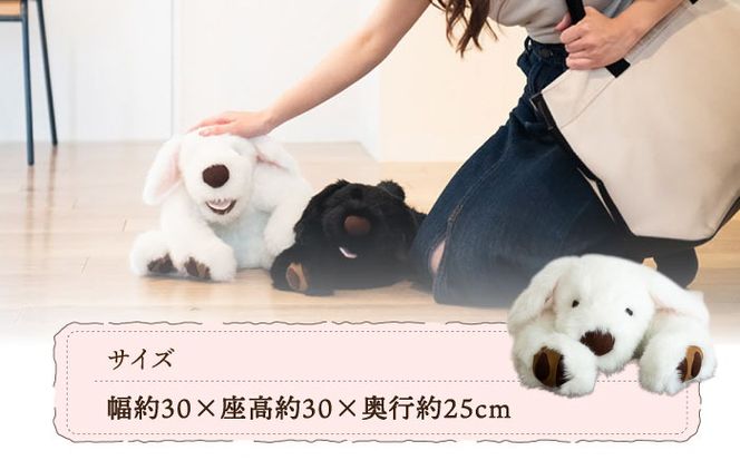犬型セラピー？！ロボット？パトランの白（通称：シロラン）犬 ぬいぐるみ 糸島市 / 科学工房未來 [AYI003]