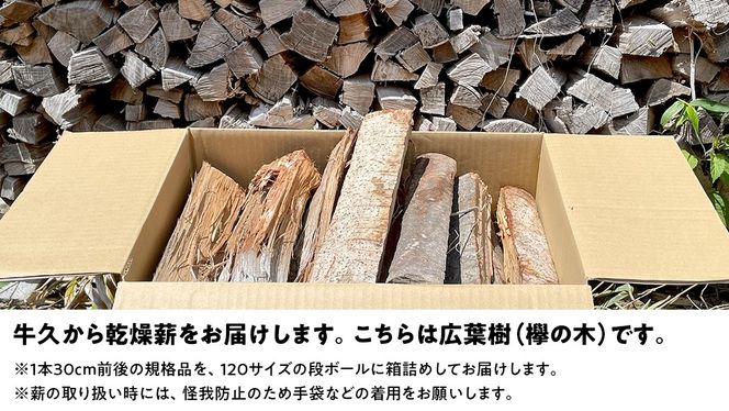 牛久市産 乾燥 薪 欅 ( けやき ) 約14kg～16kg 天然木 マキ 乾燥薪 広葉樹 キャンプ アウトドア 焚火 焚き火 薪ストーブ 暖炉 たき火 野外 屋外 バーベキュー薪 ピザ窯の薪 グリル焼 [DP009us]