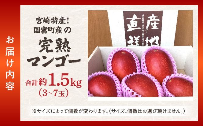 宮崎特産！国富町産の完熟マンゴー 3～7玉（約1.5kg）