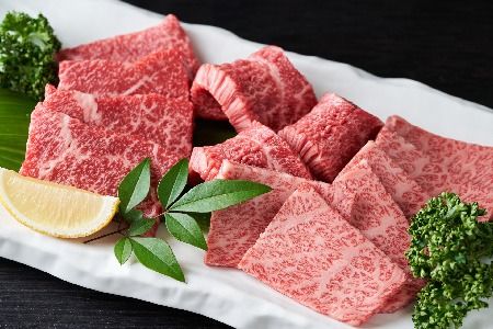 艶さし！【A4～A5】佐賀牛焼肉用 1kg(500g×2P)【肉 牛肉 ブランド牛 黒毛和牛 ふるさと納税】(H112112)