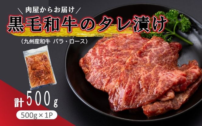 y啪sz炨͂Iјã^Ђ 500g_2597R