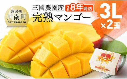 【令和8年発送】宮崎県産完熟マンゴー　三國農園　完熟マンゴー3L×2玉 【 果物 フルーツ マンゴー 宮崎県産 完熟マンゴー みやざきマンゴー 】 [C08302]