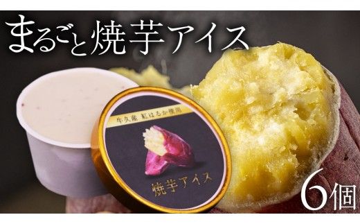 牛久市産 紅はるか 使用 焼き芋アイス 6個 入り アイスクリーム さつまいもスイーツ 焼き芋味 べにはるか 夏 アイス ギフト さつま芋 味 焼き芋 味 サツマイモ 冷凍 贈り物