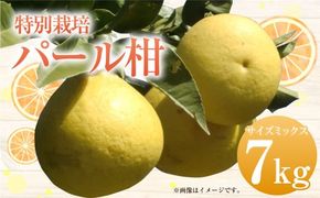 【先行受付】特別栽培パール柑（天草文旦） 7kg サイズミックス パール柑 天草文旦 柑橘 果物 フルーツ 熊本県産【2027年2月下旬から4月上旬発送開始】