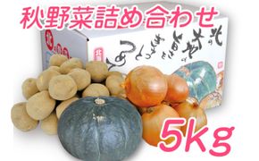 【2026年10月発送】富良野産 野菜 5kgセット じゃがいも ＆ 玉ねぎ ＆ かぼちゃ 3種 詰め合わせ