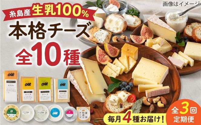 【全3回 お楽しみ 定期便】糸島産 生乳 100％ 使用 手作り チーズ 毎月 4種 糸島市 / 糸島ナチュラルチーズ製造所TAK-タック-[AYC010]