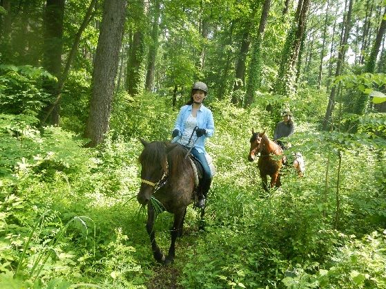 乗馬 体験 まきば軽井沢 4級乗馬ライセンス取得コース 体験チケット 