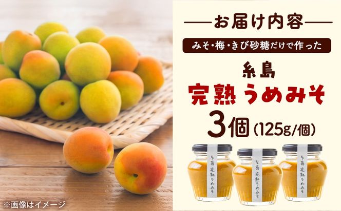 糸島完熟うめみそ3個セット 糸島市 / 糸島げんき工房[AKR005]