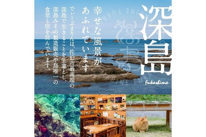 深島の猫へ寄付と深島猫グッズ (Bプラン・計5種) 猫 ネコ ねこ 寄附 カレンダー タオル  大分県 佐伯市【EK10】【でぃーぷまりん】