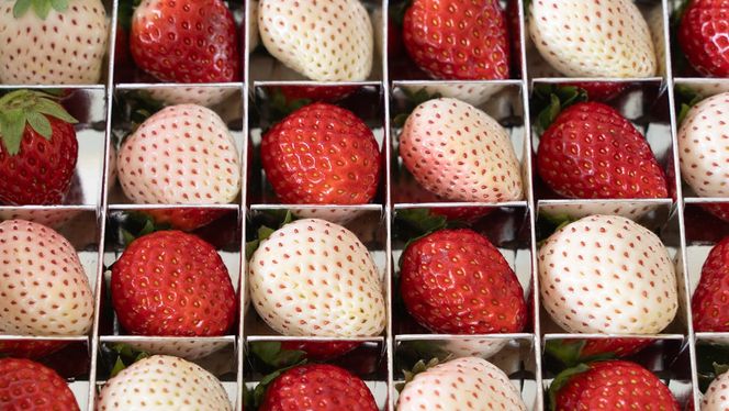 赤白いちごの宝石箱アソート 36粒 【2025年12月から発送開始】（茨城県共通返礼品 [いちご]：城里町産）  | いちご 苺 赤 イチゴ 白いちご 白イチゴ 宝石箱