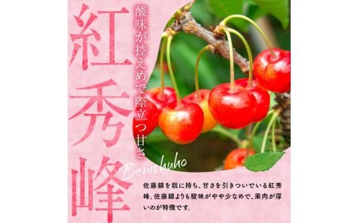 2026年発送【先行予約】令和8年産 紅秀峰南陽食べ比べ【2Lサイズ】各500g【ニトリ観光果樹園】余市 北海道 フルーツ王国 さくらんぼ サクランボ 桜桃 紅秀峰 南陽 食べ比べ 余市産さくらんぼ 人気さくらんぼ ニトリ_Y074-0141