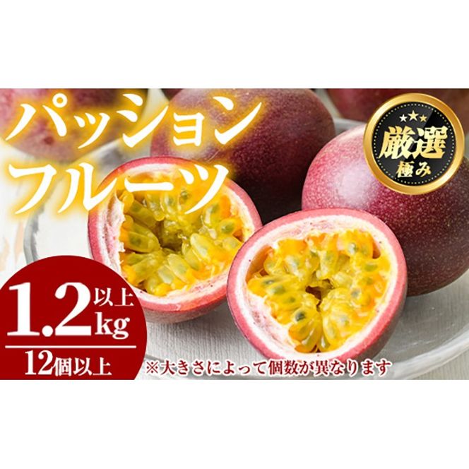 y̑Sǒzy0105302az䂫_̃pbVt[c(1.2kgȏ) t[c ʕ ʎ 1L Ԍy䂫_z