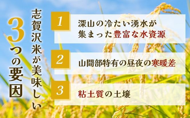 【 令和7年産 】6ヵ月 定期便 だて正夢 志賀沢米 レンジアップごはん 20個 セット お米 米 精米 パックごはん