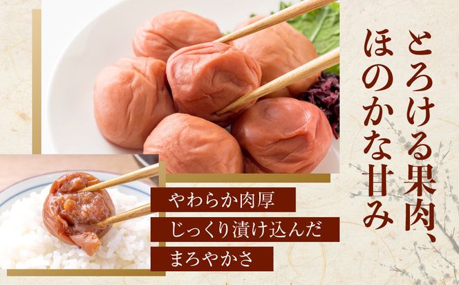 紀州南高梅 「花」 塩分約6％ 850g ［YM8］ 303446_DX90011