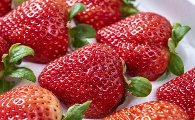 いちご あまおう 贈答用 24～30粒 福岡のいちご！苺 本来の酸味と甘み 配送不可 離島 果物類 イチゴ 