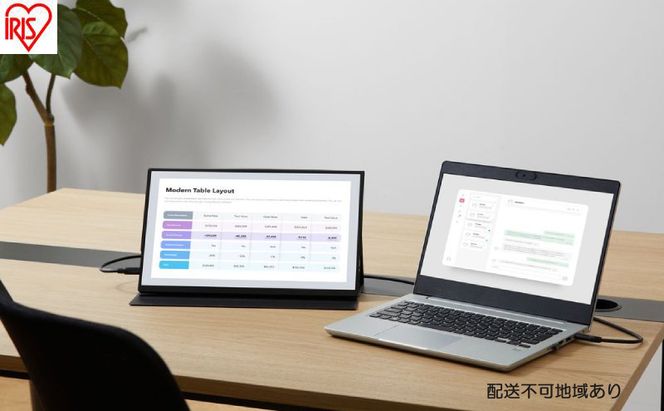 ポータブルモニター 15.6inch DP-EF164S-B ブラック アイリスオーヤマ モバイルモニター pcモニター 15.6インチ ゲーミングモニター USB-C minihdmi カバー付き 軽量 薄型 ノングレア
