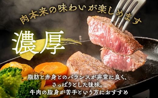 希少 京都産ブランド黒毛和牛 亀岡牛 モモ ステーキ 400g (100g×4枚)≪牛肉 モモ 国産 京都丹波  和牛 冷凍 ふるさと納税 牛肉 ≫