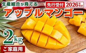 【先行受付】【2026年発送】生産組合が育てるアップルマンゴー約2kg（家庭用）- 先行予約 沖縄県産 産地直送 南国フルーツ 旬の味覚 季節の果物 ご自宅用 沖縄マンゴー 沖縄県 八重瀬町