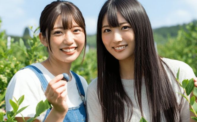 ブルーベリー狩り チケット 大人1人分 80分間食べ放題 ブルベリー 体験 チケット 愛西市 / あいさいベリーLABO[AEBZ007]