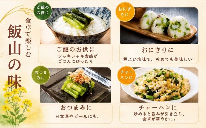 【漬物セット】野沢菜漬 300g 2袋 & キザミわさび風味 野沢菜 150g 2袋 合計 4袋 900g《保存料・合成着色料不使用》 (Bl-011) 