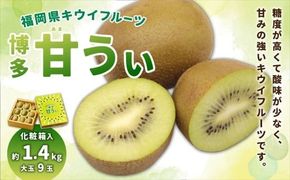 福岡県ブランド キウイフルーツ 「博多甘うぃ」 化粧箱 大玉9玉 約1.4kg 【2026年11月上旬～11月下旬発送予定】 キウイ 果物 フルーツ 九州 福岡県 香春町 冷蔵
