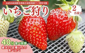【先行予約】【12月から発送】いちご狩りチケット（2名様分）SMQ001