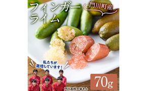＜先行予約受付中！2026年10月から順次発送予定＞＜数量限定・期間限定＞宮崎県門川町産フィンガーライム(70g) 柑橘 希少 ライム キャビアライム シトラス 高校生 門高 【AU-3】【宮崎県立門川高等学校】