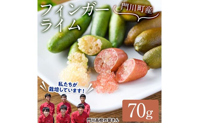 ＜先行予約受付中！2026年10月から順次発送予定＞＜数量限定・期間限定＞宮崎県門川町産フィンガーライム(70g) 柑橘 希少 ライム キャビアライム シトラス 高校生 門高 【AU-3】【宮崎県立門川高等学校】