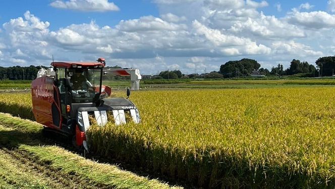 【選べる 玄米 精米】令和7年産 茨城県産 新米 いのちの壱 5kg 米 こめ コメ 農家 直送 こだわり お米 おこめ 茨城 [BG013ya] [BG014ya]