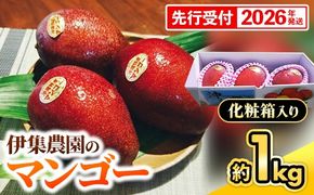 【化粧箱入】【先行受付・2026年発送】伊集農園  沖縄県産マンゴー（贈答用）約1kg - 先行予約 沖縄 産地直送 南国フルーツ 旬の味覚 旬のフルーツ 沖縄県 八重瀬町