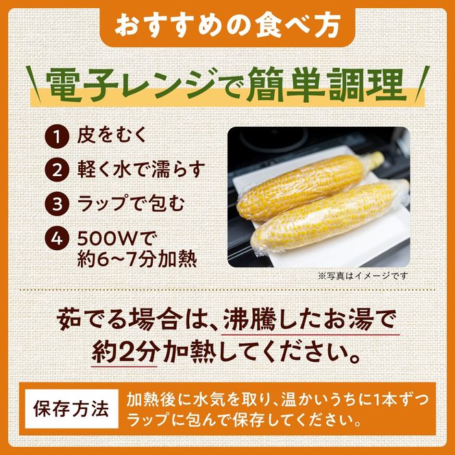 先行受付！【2026年8月頃～発送開始！】北海道十勝清水町産 恵味 サイズ混合 10本 北海道産 2026年 とうもろこし とうきび 産直 産地直送 清水町 北海道_S041-0011