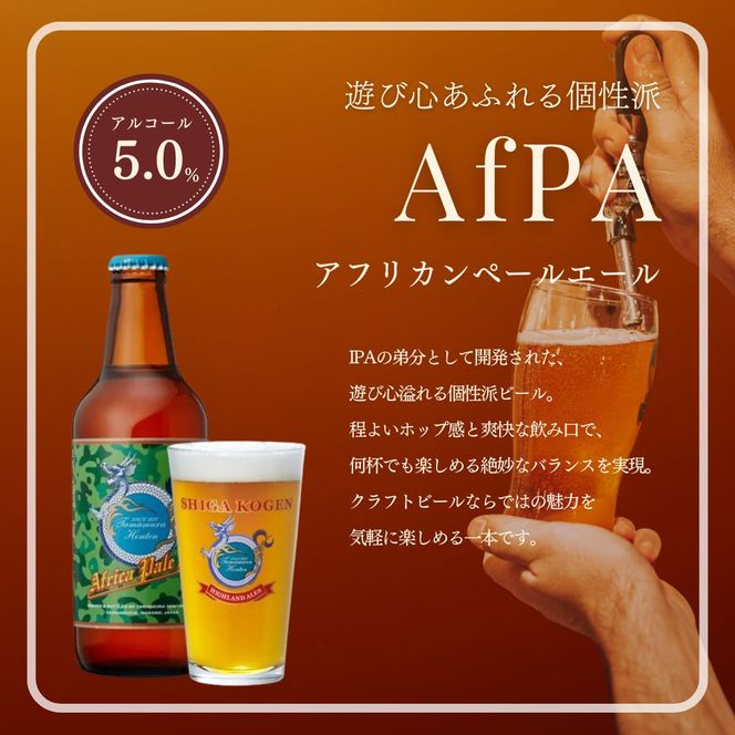 定期便 3ヶ月 志賀高原ビール6本セット 【 クラフトビール 志賀高原ビール 飲み比べセット 玉村本店 ビール 詰め合わせ セット 地ビール 飲み比べ 黒ビール ipa ペールエール 酒 お酒 長野県 長野 定期 お楽しみ 3回 】 