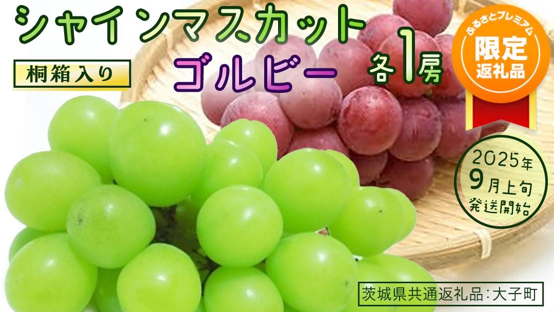 [ふるプレ限定品][桐箱入り] シャインマスカット & ゴルビー (各1房)[2025年9月上旬発送開始](茨城県共通返礼品:大子町) ぶどう 葡萄 マスカット フルーツ 果物 贈答用 ギフト 贈り物