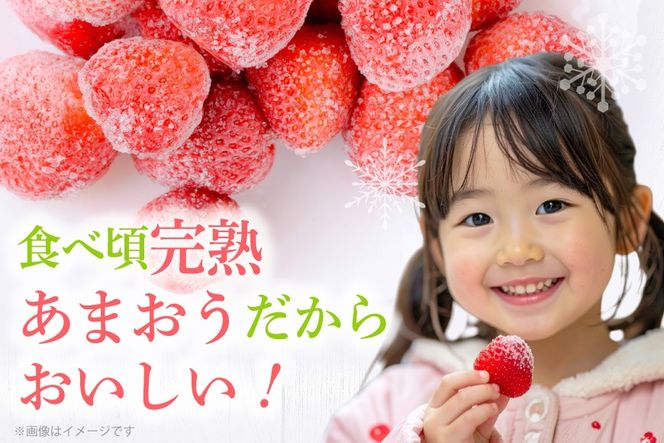 いちご 冷凍 冷凍 完熟 あまおう 2kg [ストロベリーファーム 福岡県 宇美町 um40azp070000] イチゴ 苺 フルーツ 冷凍フルーツ 果物 果実 甘い あまい 冷凍いちご 冷凍苺 冷凍イチゴ