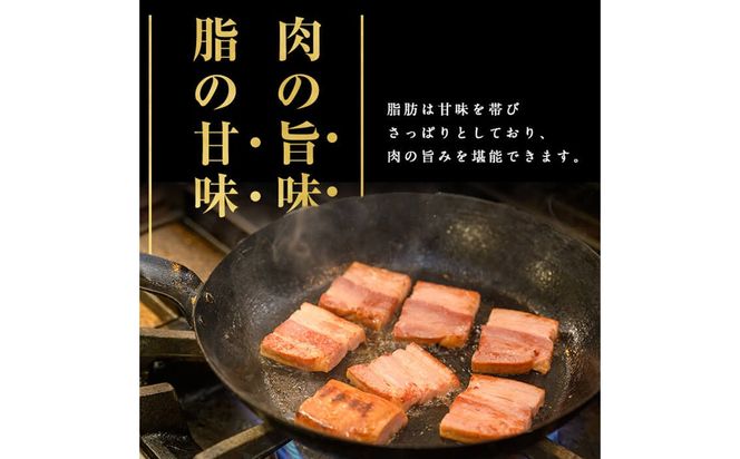 国産豚肉使用！香味豊かな まごころベーコンブロック 2本(計900g～1kg) a2-093