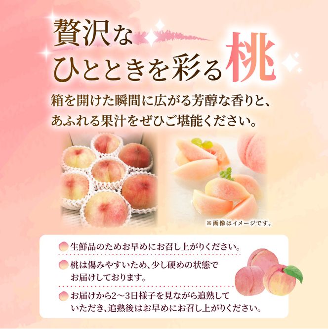 【先行予約・数量限定】大子町産「桃」約2kg 品種おまかせ（あかつき・まどか・美郷 等）｜茨城県 大子町 令和8年産 もも モモ フルーツ 果物 おまかせ 詰め合わせ 産地直送 旬 人気 厳選 奥久慈りんご園（AI007）