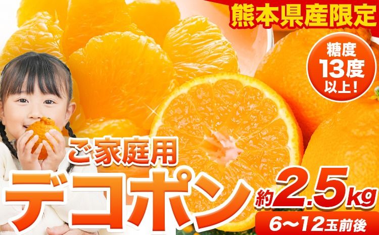訳あり デコポン 約2.5kg前後(約6-12玉前後)[2026年2月上旬-4月末頃出荷] デコポン みかん 不知火 ご家庭用 訳ありデコポン 訳アリ 熊本県産 熊本県 長洲町 糖度13度以上---ng_deko_af24_r7_8000_2500g---
