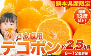 訳あり デコポン 約2.5kg前後(約6-12玉前後)《2026年2月上旬-4月末頃出荷》 デコポン みかん 不知火 ご家庭用 訳ありデコポン 訳アリ 熊本県産 熊本県 長洲町 糖度13度以上---ng_deko_af24_r7_8000_2500g---