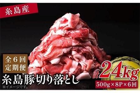 【 全6回 定期便 】糸島 豚 切り落とし 4kg ( 500g × 8P ) 糸島 【幸栄物産】[ABH018]