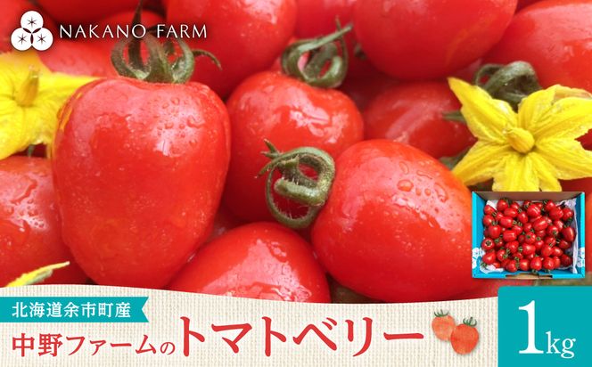 【先行予約7月上旬発送】余市町 中野ファーム トマトベリー 1kg ハート型フルーツミニトマト 甘くて完熟 お弁当に最適 先行予約 甘いトマト 完熟 サラダ お弁当 おやつ 彩り かわいい_Y026-0014